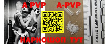 a pvp Новозыбков