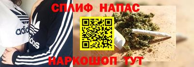 a pvp Новозыбков
