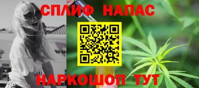 a pvp Новозыбков