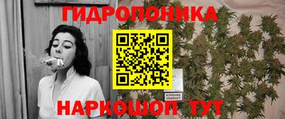 прущие грибы Новокубанск