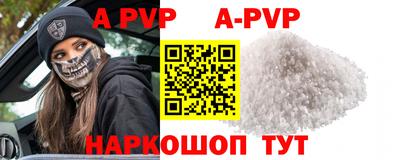 a pvp Новозыбков