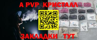 a pvp Новозыбков