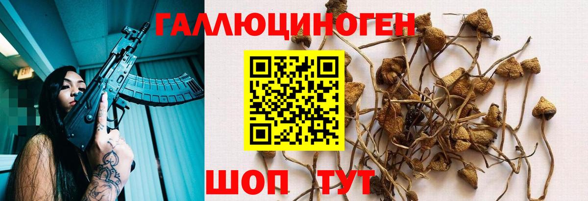 Галлюциногенные грибы Psilocybine cubensis Рыбинск