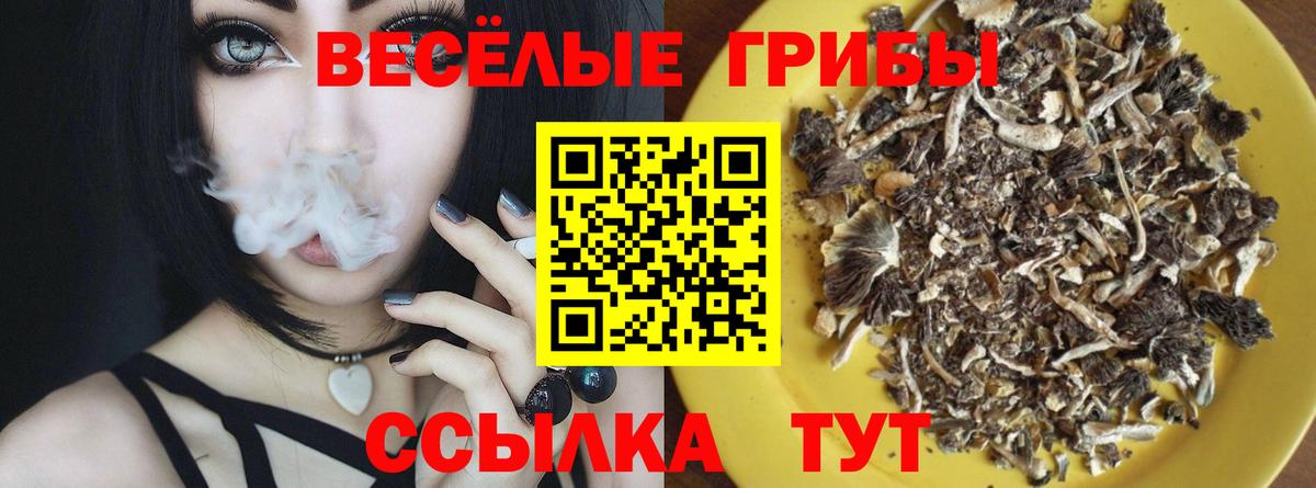 как найти закладки  Вход с VPN  Рыбинск  Псилоцибиновые грибы Psilocybe  Галлюциногенные грибы прущие грибы 